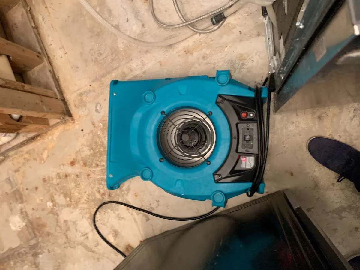 Air mover drying equipment for Mold Remediation & Removal in Vergennes